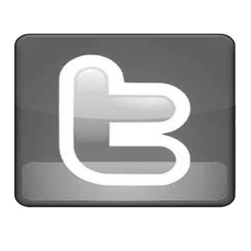 Logo de Twitter en blanco y negro