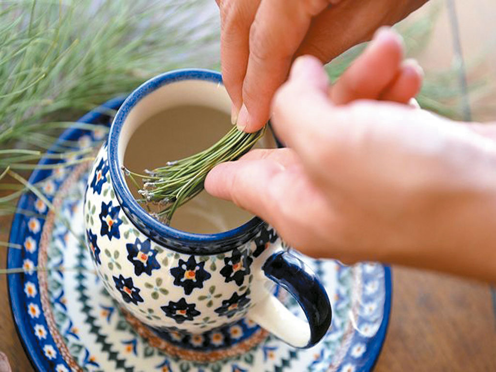 Imagen de Taza de Té de Pino