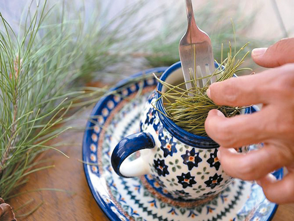 Imagen de taza con té de pino